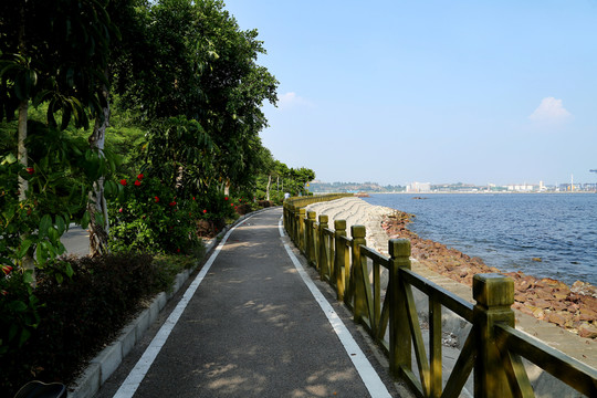 大亞灣沿海綠道自行車