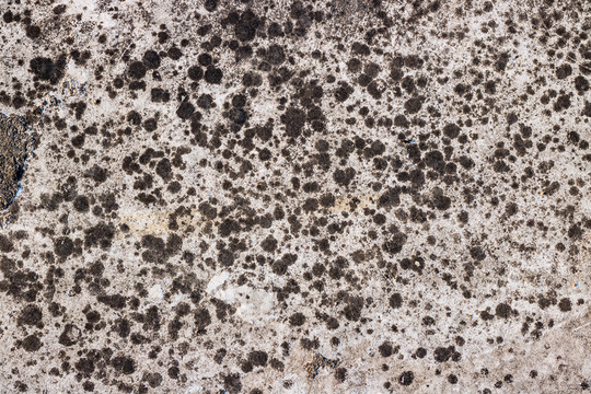 墻面 墻壁 紋理 灰墻 水泥