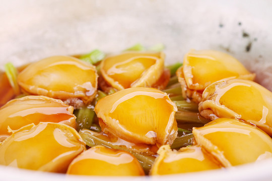 鮑魚(yú)