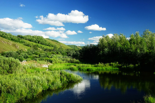 湖泊樹林