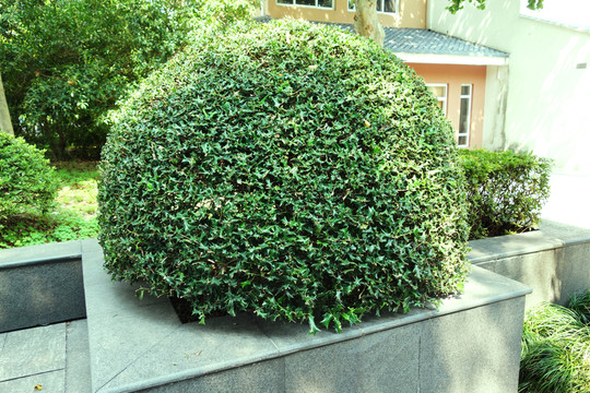 公園綠化