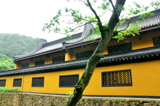 黃色寺廟外墻
