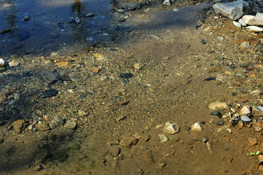 清泉 溪水 河流