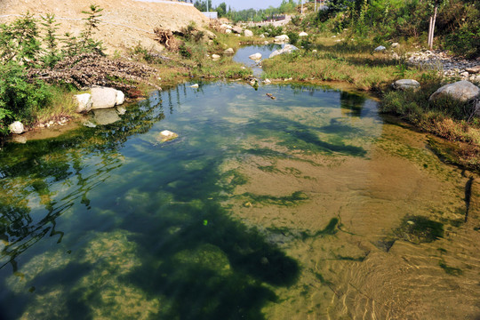 清澈河水  小溪 清泉
