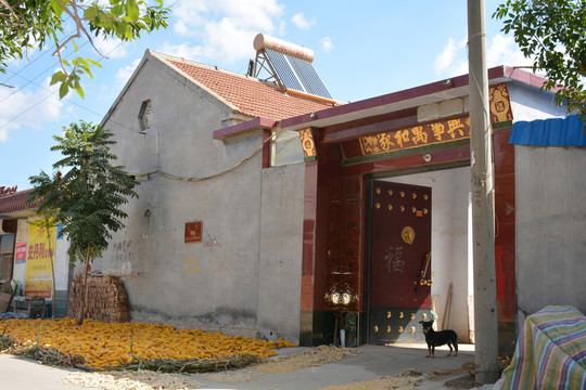 新農(nóng)村