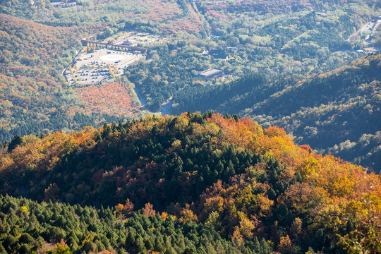 北京蟒山森林公園秋景