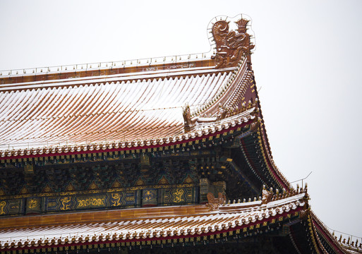 冬雪下的故宮屋檐