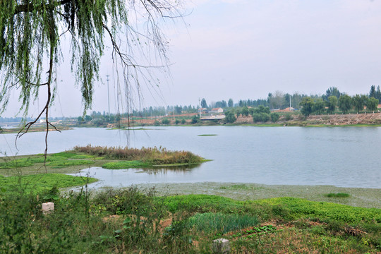 河岸風景 河道