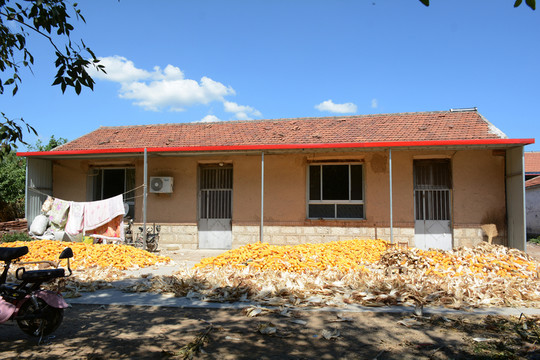 農(nóng)家小院