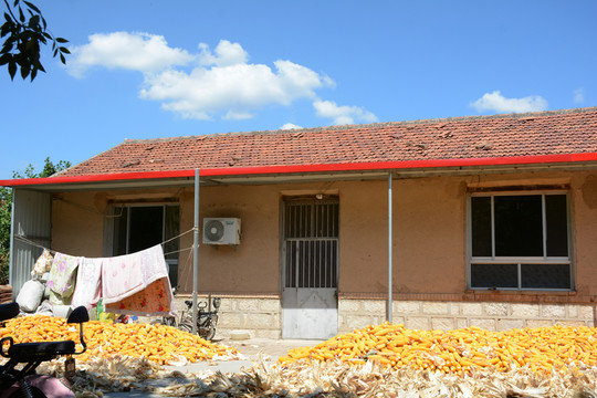 農(nóng)家小院
