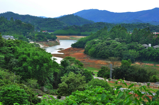 沼澤濕地