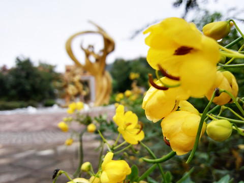 花