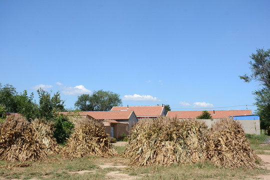 農(nóng)村