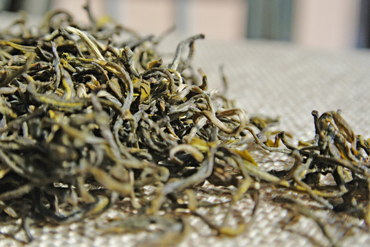 茶葉特寫 青茶