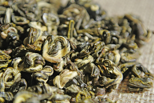 茶葉特寫 碧螺春