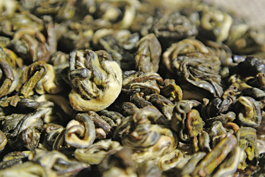 茶葉特寫 碧螺春