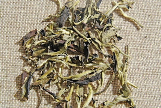 茶葉特寫 紅茶白茶