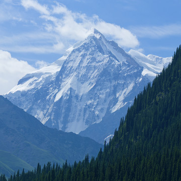 夏塔
