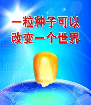 刊板