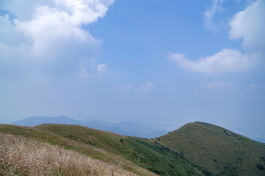 山