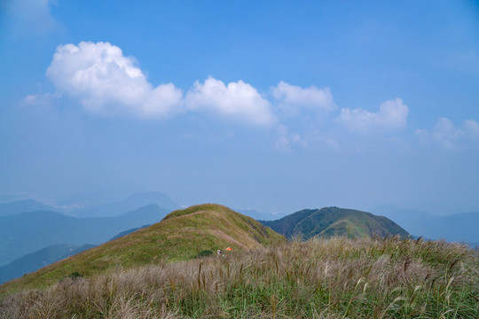 山
