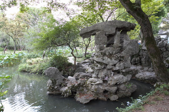 烏龜 奇石 拙政園