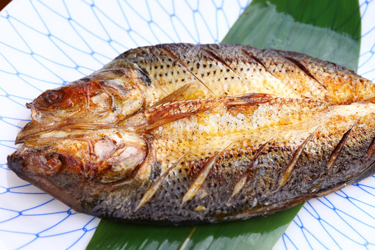 鯪鯽魚(yú)