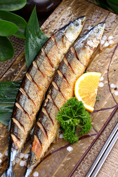 秋刀魚(yú)