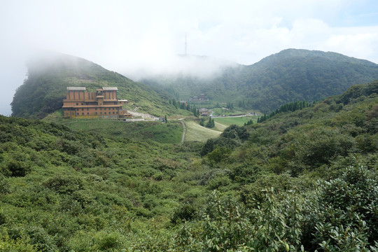 金佛山 山脈 云霧