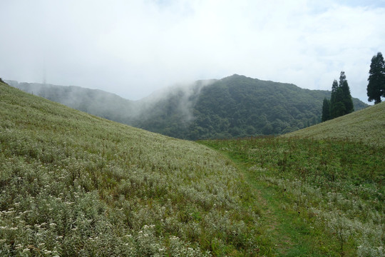 山野 云霧山脈 金佛山