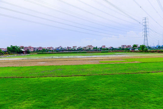 田園田野