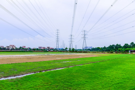 田園田野