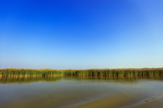 沙湖景區(qū)