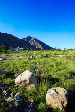 賀蘭山