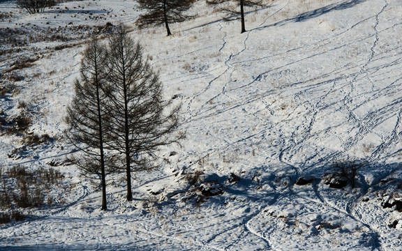 雪鄉(xiāng) 村莊 雪 冬天 寒冷 林