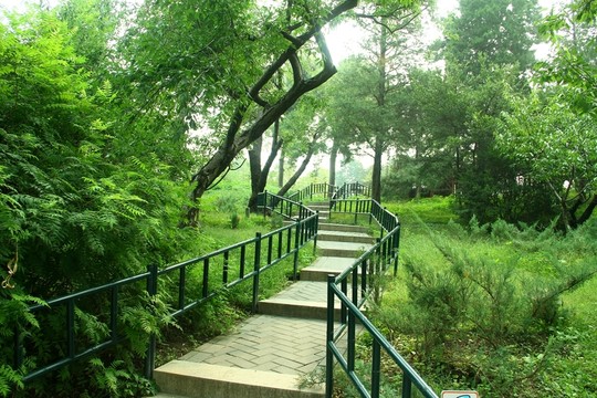 竹林小路