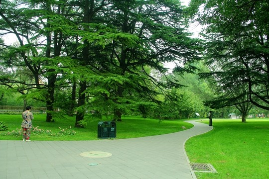 綠地小路