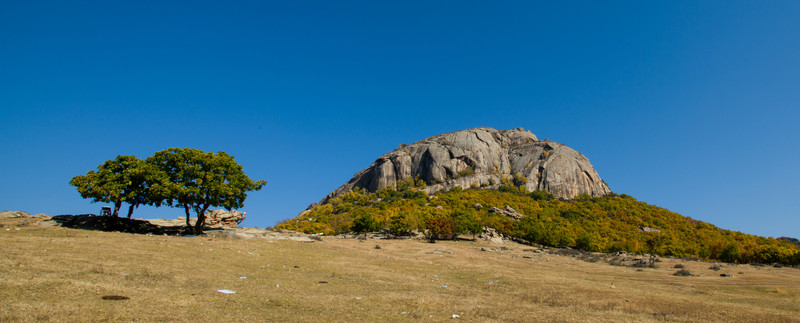 神山 白樺樹 樹林 秋景 秋