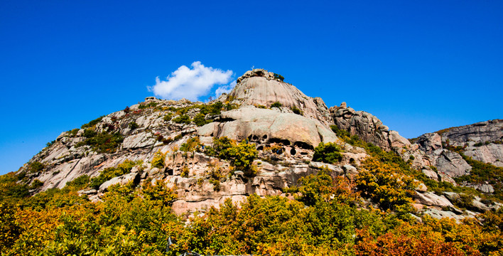 神山 白樺樹 樹林 秋景 秋