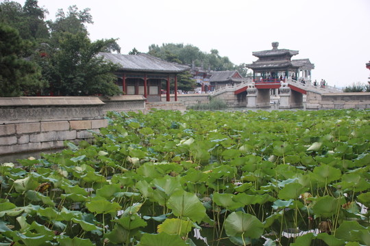 頤和園風(fēng)光