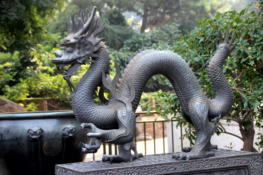 龍