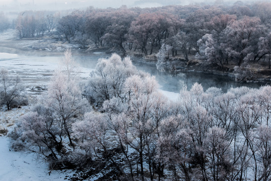 霧凇 雪景 冬天 自然奇觀 樹
