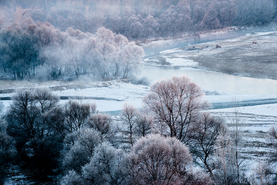 霧凇 雪景 冬天 自然奇觀 樹