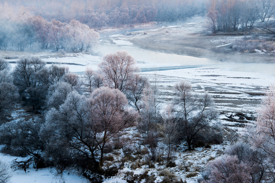 霧凇 雪景 冬天 自然奇觀 樹