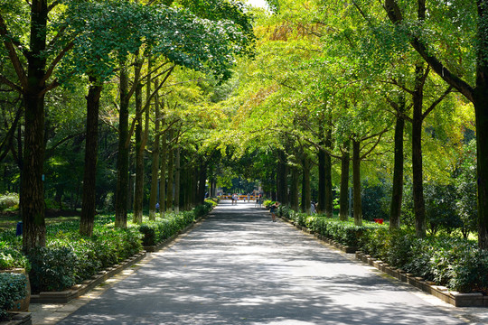 中山植物園