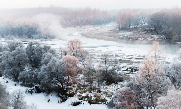 霧凇 雪景 冬天 自然奇觀 樹