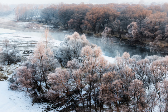 霧凇 雪景 冬天 自然奇觀 樹
