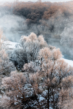 霧凇 雪景 冬天 自然奇觀 樹