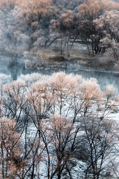 霧凇 雪景 冬天 自然奇觀 樹