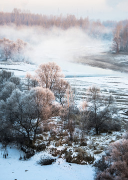 霧凇 雪景 冬天 自然奇觀 樹